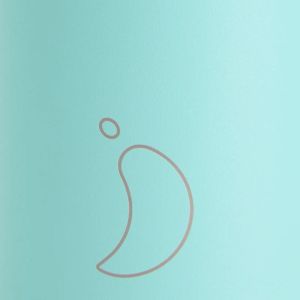 Chilly’s Original Series All Pastel Green 260ml